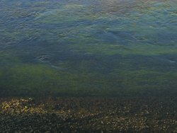 IMG_6490