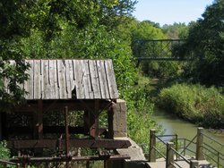 IMG_6503