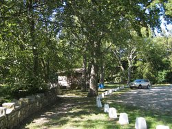 IMG_6504