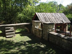 IMG_6505