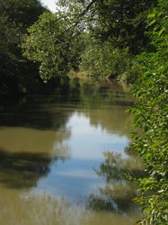 IMG_6508