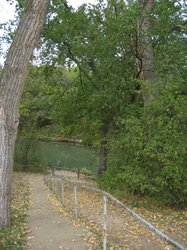 IMG_6517