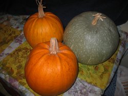 IMG_0035