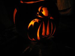 IMG_0075